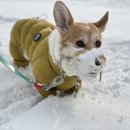 루다목장 이미지