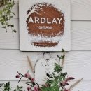 아드레이 이미지