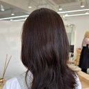 리즈헤어2호점 | [신촌] 연세대 근처 헤어루아브 신촌점 리즈 팀장 브라운 염색 후기