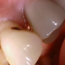 로이스서울치과의원 이미지