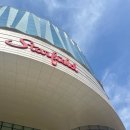 형남중학교 | 돼지런하게 먹은 3월의 영킹일상🐷💕