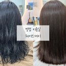 헤어드제이 네이버블로그