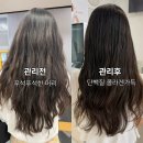 [마곡미용실] 손상모 관리, 기장 추가 없는 로이드밤 헤어클리닉 후기