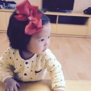 베베앙드레 이미지