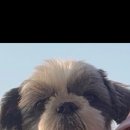 (주)성연 이미지