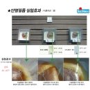 썬나노 이미지