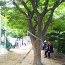 신평1동-16 이미지