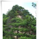 (주)송현 이미지