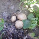 국현어린이집 이미지