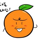 이런날엔족발