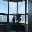 델리식스(Delhi 6) 이미지