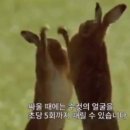 강남스타복싱 이미지