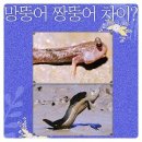 ◆＜必讀＞국민의힘 당원들은 먼저 애국자가되라 이미지