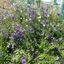 안계마을회관 이미지