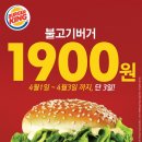 버거킹, 불고기버거 단돈 1900원…대박 할인 이유가? 이미지