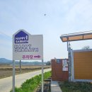 해피애견하우스 | 경기 용인 &#39;해피사바스&#39; 게스트하우스 / 애견 동반 가능