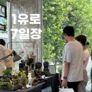 유목농장 | 식물 좋아하는 사람들 모여라! 업플랜트 1유로 7일장 후기