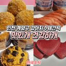 맛있개 건강하개 이미지