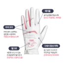 반양 지맥스 <b>반양</b>피 연습용 골프장갑 여성 골프장갑 양손
