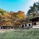 박원숙(朴原淑) 초가겹집 네이버블로그