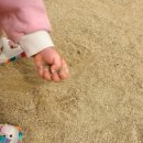 노태공원 화장실 이미지