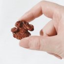 포테니언 이미지