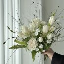 포이엠디자인 | W3. 제주 스냅 예약 | 새러데이포피엠, 드이베, 더수트옴므, 예플리