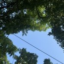 더존펜션 | 여름 동학사 계곡 펜션 | 더존 펜션 &amp; 계룡산 식당 후기