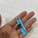 시그니처 수제도장 제작 | [담솔인장] 아기 탯줄도장, 내돈내산으로 수제 제작! 솔직 후기