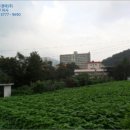 전주대성초등학교 이미지