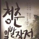 8월16일 "청춘일발장전" 관람후기 이미지