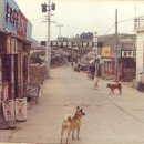 진도실업고등학교 이미지