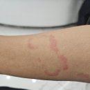 하얀메디컬의원 이미지