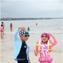 제주야 표선 이미지