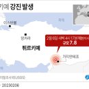 강진-31 이미지