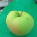 영자네민박 이미지