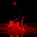 방주아트빌 이미지