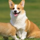 제일복지용구의료기 이미지