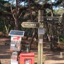 대왕암솔바람길 이미지