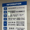청담-119 | 청담동 브런치 맛집 브런치 시그니처37.5 청담본점 내돈내산 주말 방문후기 주차꿀팁 까지