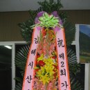 가우리 Daum카페