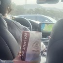 댕댕수라간 | 2024년 3월(3) / 구례 여행~서울 마지막 교육