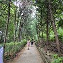 2025-08-09 토요 둘레길 무장愛숲길, 예술의 전당 한가람 미술관 마르크 샤갈 전시회 이미지