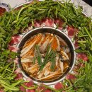 화산중앙로 | 대전 은행동맛집 화산샤브 미나리샤브 후기