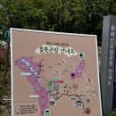 황매산등산로 | 경남 가볼만 한 곳 경남 여행지 추천 경상남도 합천 황매산 철쭉축제