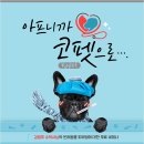 코리아 애견 이미지
