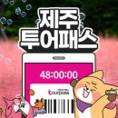 (주)제주프리투어 | 제주투어패스 프리패스권 후기 ATV 카트 낙타트레킹카페 알찬 코스 정리