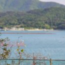 리을풀빌라2 이미지