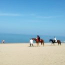 장사해수욕장관광지 이미지