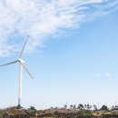 공연 전시장길 코스 이미지